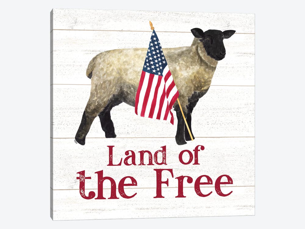 Land of the Free Square III by Tara Reed 1-piece Canvas Wall Art