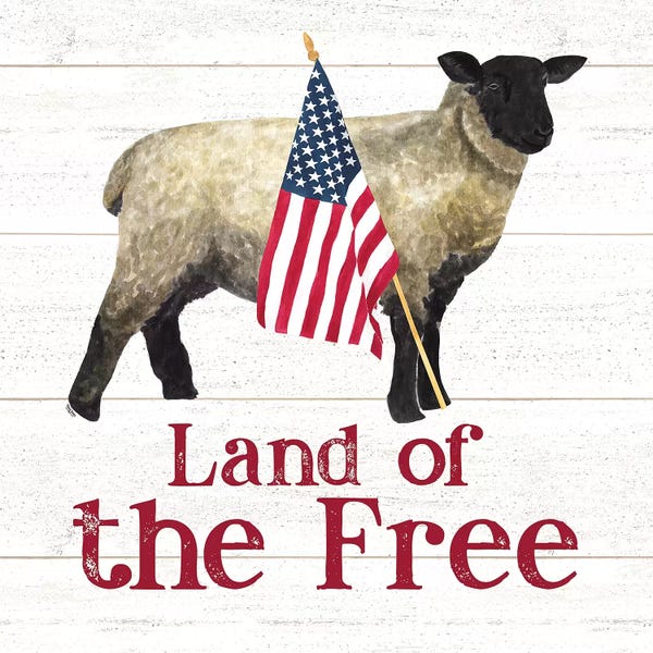 American Décor: Land of the Free Square III by Tara Reed