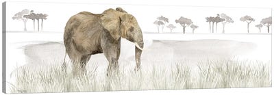 Serengeti Elephant Horizontal Panel Canvas Art Print - Grass Art