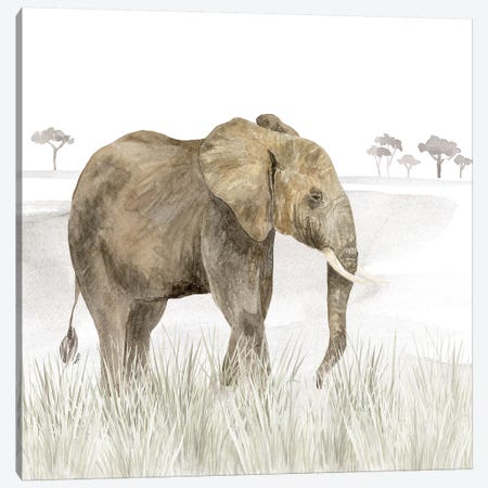 Serengeti Elephant Square Canvas Print #TRE262} by Tara Reed Canvas Wall Art
