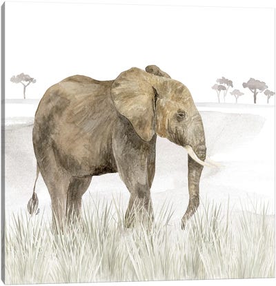 Serengeti Elephant Square Canvas Art Print - Grass Art