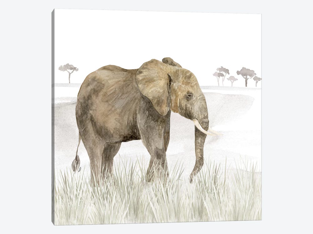 Serengeti Elephant Square by Tara Reed 1-piece Canvas Print