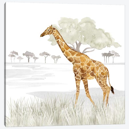 Serengeti Giraffe Square Canvas Print #TRE263} by Tara Reed Canvas Artwork