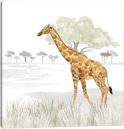 Serengeti Giraffe Square Canvas Art Print - Grass Art