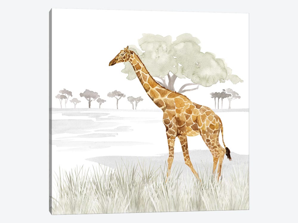 Serengeti Giraffe Square by Tara Reed 1-piece Canvas Art