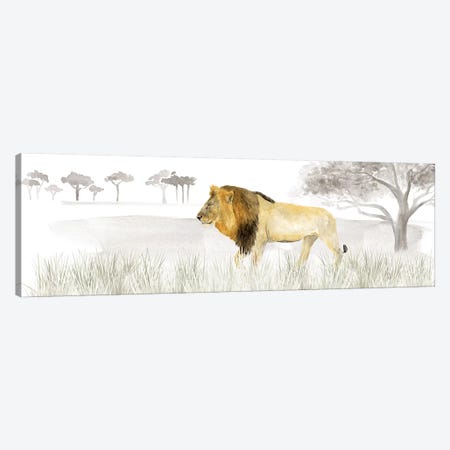 Serengeti Lion Horizontal Panel Canvas Print #TRE264} by Tara Reed Canvas Art Print