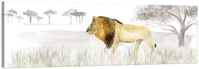 Serengeti Lion Horizontal Panel Canvas Art Print - Tara Reed