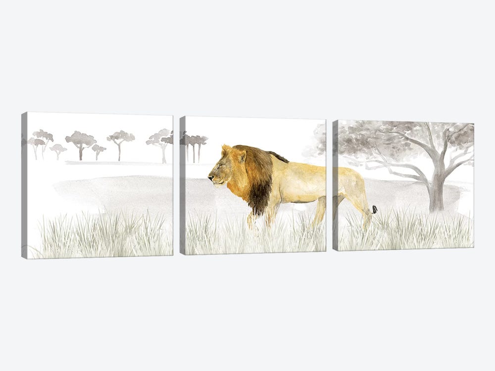 Serengeti Lion Horizontal Panel by Tara Reed 3-piece Canvas Art Print