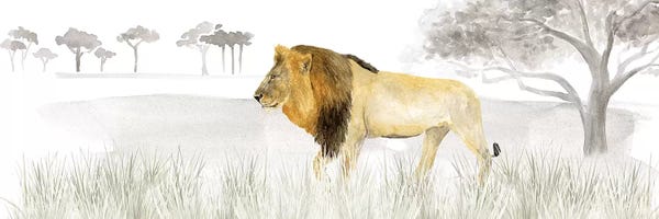 Grasses: Serengeti Lion Horizontal Panel by Tara Reed