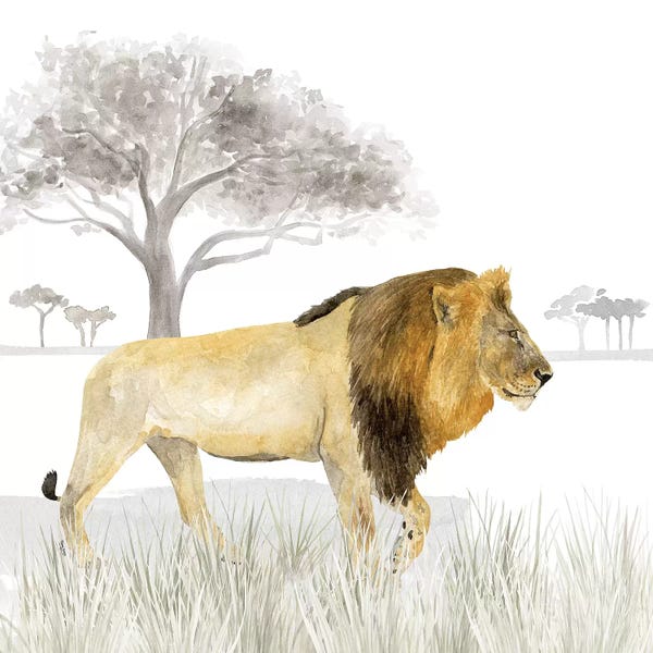 Serengeti: Serengeti Lion Square by Tara Reed