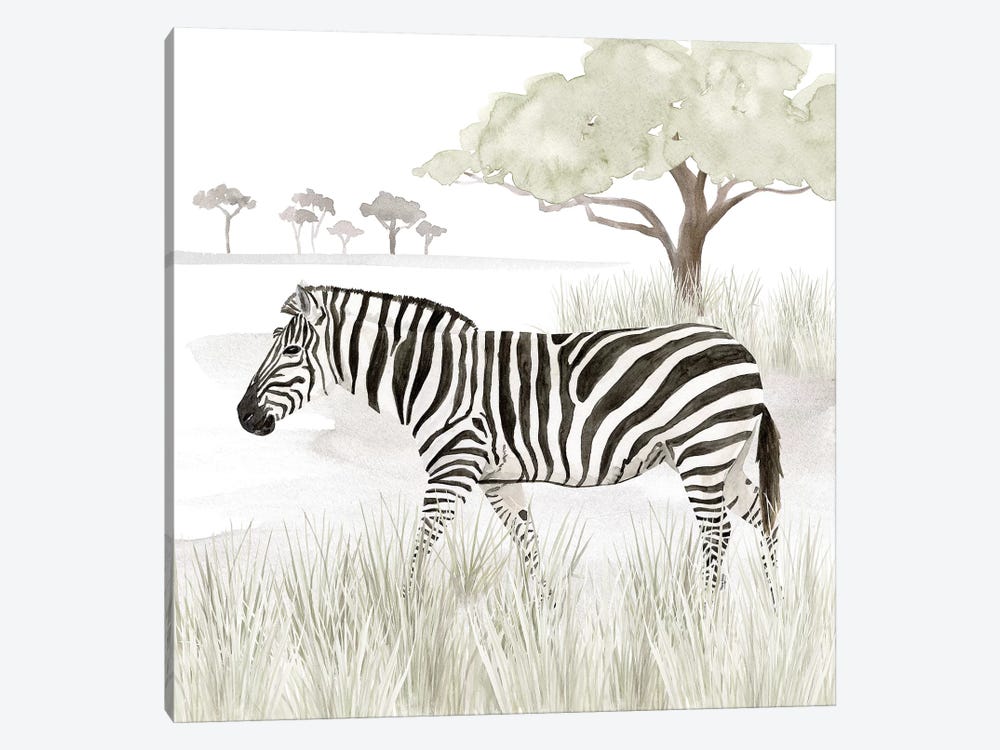 Serengeti Zebra Square by Tara Reed 1-piece Art Print
