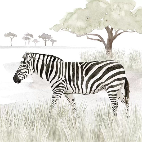 Serengeti: Serengeti Zebra Square by Tara Reed