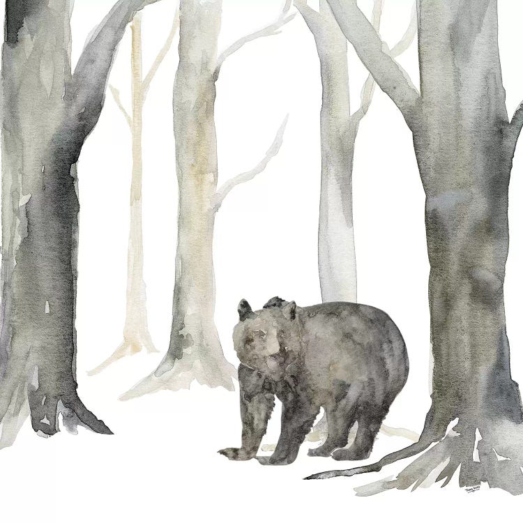 Winter Forest Bear