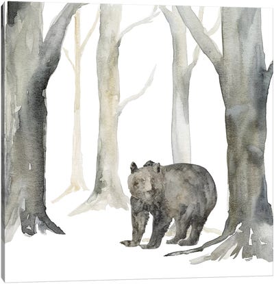 Winter Forest Bear Canvas Art Print - Tara Reed