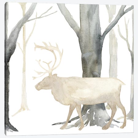 Winter Forest Elk Canvas Print #TRE270} by Tara Reed Canvas Print