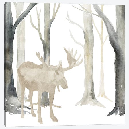 Winter Forest Moose  Canvas Print #TRE272} by Tara Reed Art Print