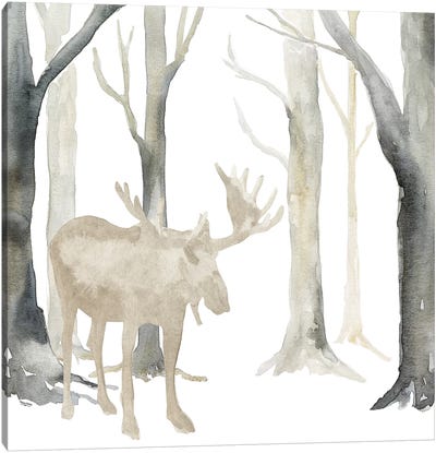 Winter Forest Moose  Canvas Art Print - Moose Art