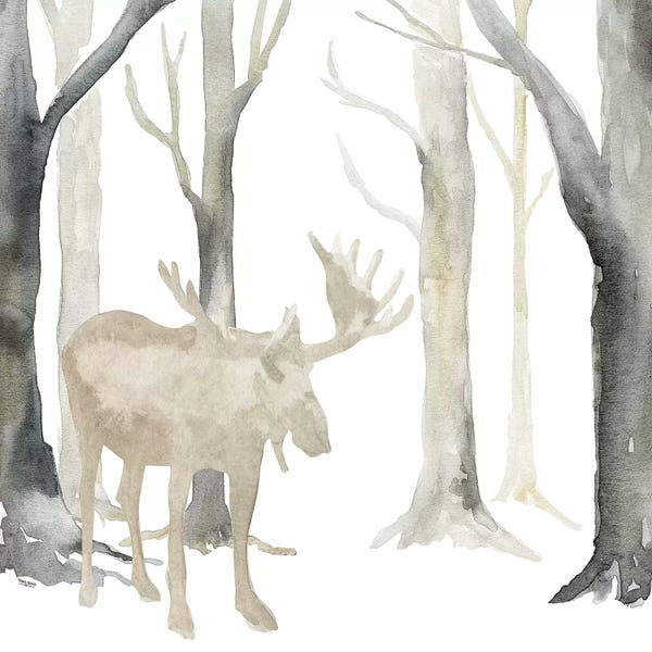 Moose: Winter Forest Moose  by Tara Reed