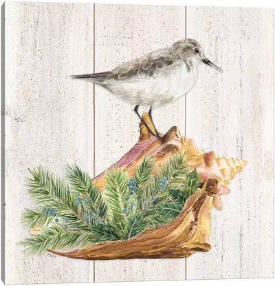 Christmas on the Coast Aqua III Canvas Art Print - Tara Reed