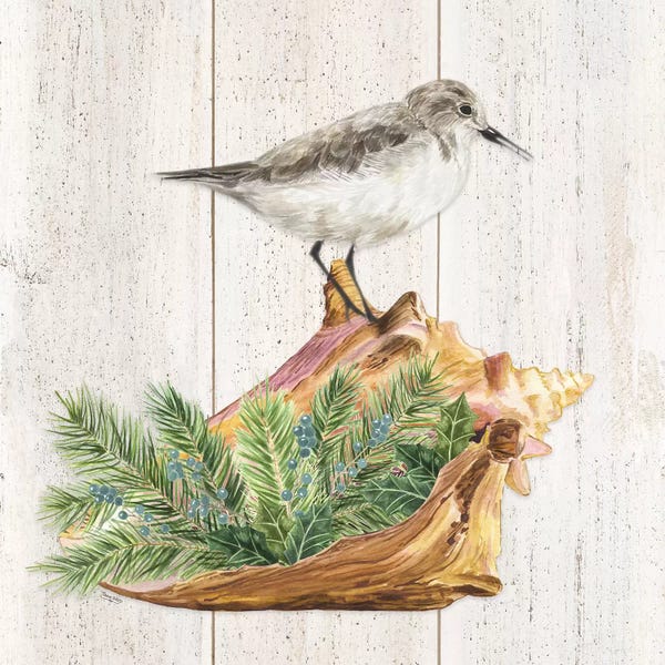 Tara Reed: Christmas on the Coast Aqua III by Tara Reed