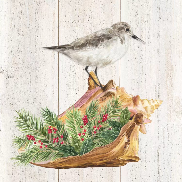 Christmas on the Coast III by Tara Reed wall art