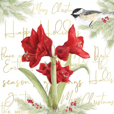 Merry Amaryllis I by Tara Reed art print