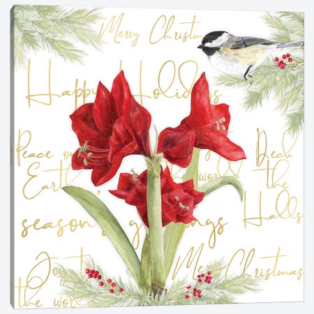 Merry Amaryllis I Canvas Print #TRE323} by Tara Reed Canvas Print