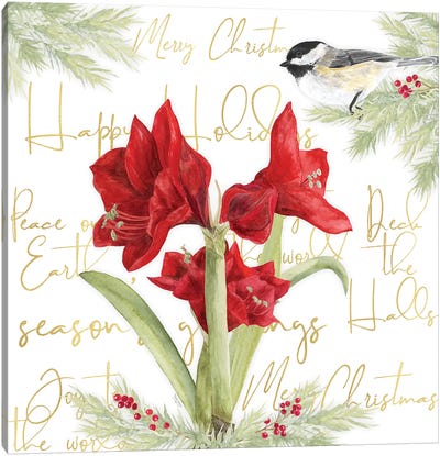 Merry Amaryllis I Canvas Art Print - Amaryllis