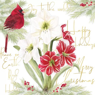 Merry Amaryllis II by Tara Reed art print