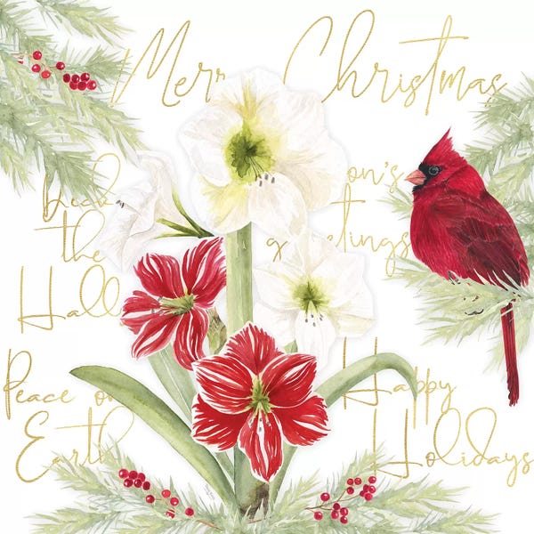 Cardinals: Merry Amaryllis III by Tara Reed