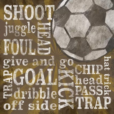 All Star Sports I by Tara Reed metal wall art