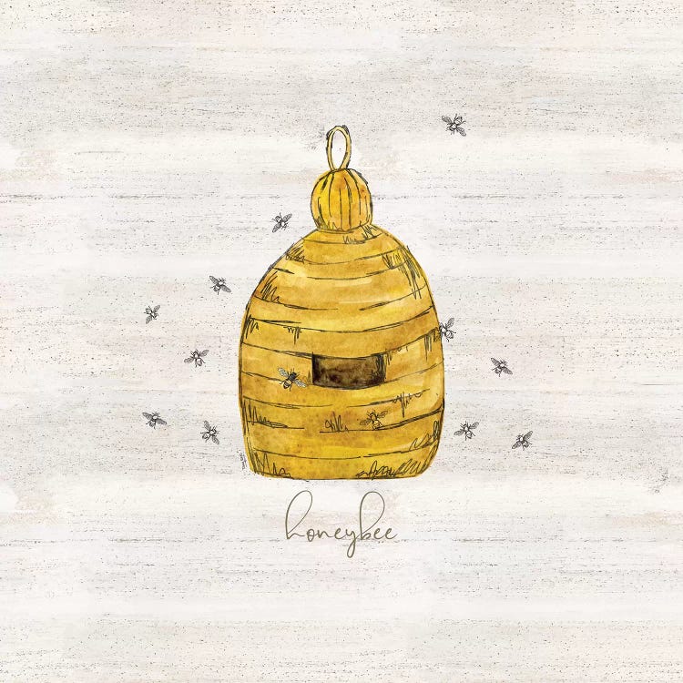 Bee's Life VI-Honeybee