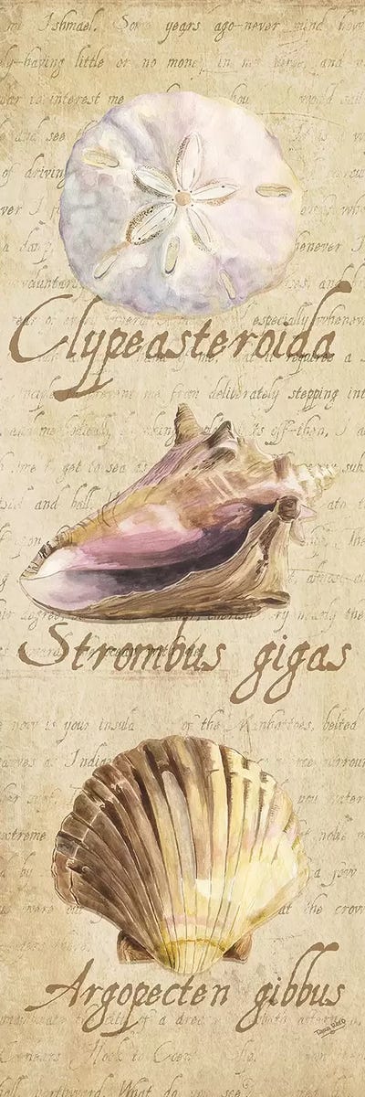 Oceanum Shell Beige Panel I by Tara Reed multi panel art