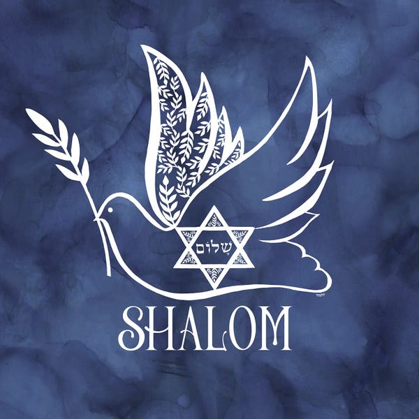 Doves & Pigeons: Festival of Lights portrait II-Shalom Dove by Tara Reed