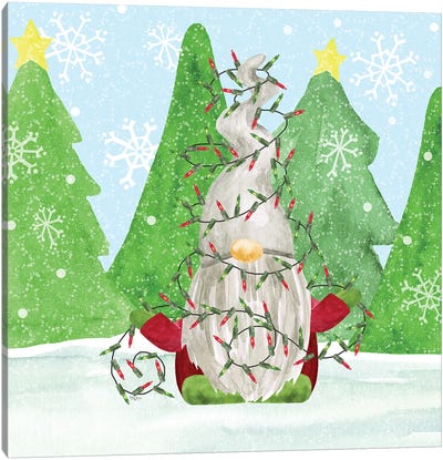 Gnome For Christmas III Canvas Art Print - Tara Reed