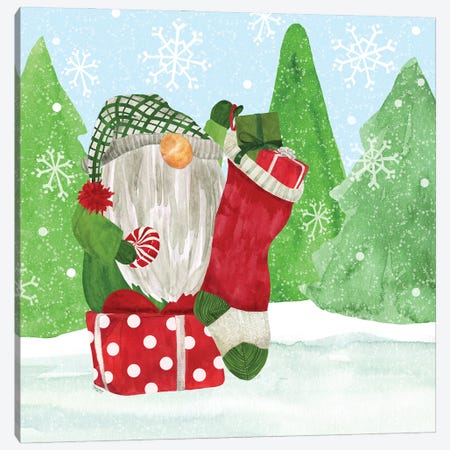 Gnome For Christmas IV Canvas Print #TRE428} by Tara Reed Canvas Wall Art