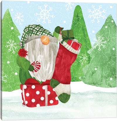 Gnome For Christmas IV Canvas Art Print - Tara Reed