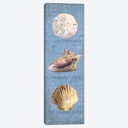 Oceanum Shell Blue Panel I Canvas Print #TRE43} by Tara Reed Canvas Art