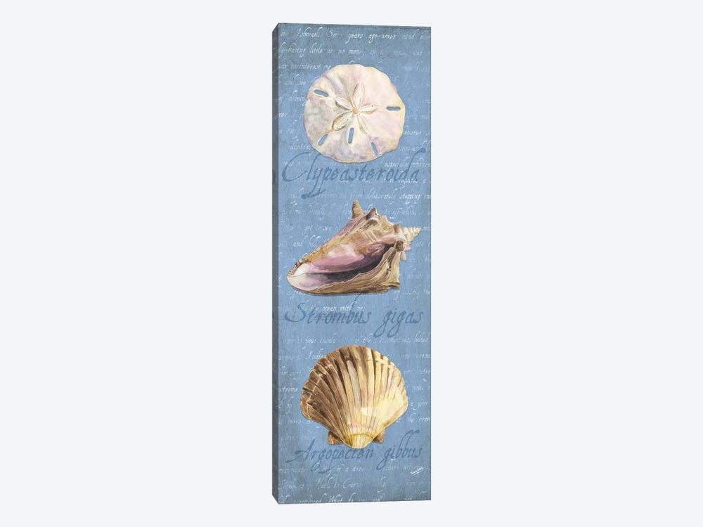 Oceanum Shell Blue Panel I by Tara Reed 1-piece Canvas Print
