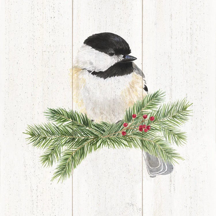 Peaceful Christmas Chickadee I by Tara Reed wall art