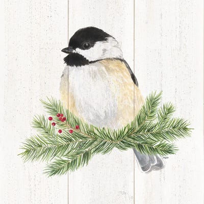 Peaceful Christmas Chickadee III by Tara Reed metal wall art