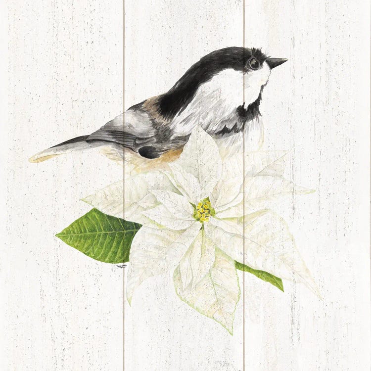 Peaceful Christmas Chickadee IV by Tara Reed wall art