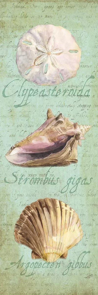 Oceanum Shell Green Panel I by Tara Reed multi panel art