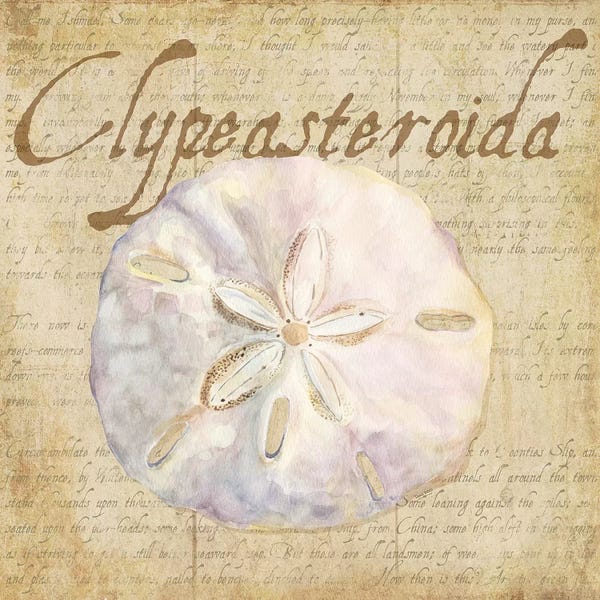 Sand Dollars: Oceanum Shells Beige IV by Tara Reed