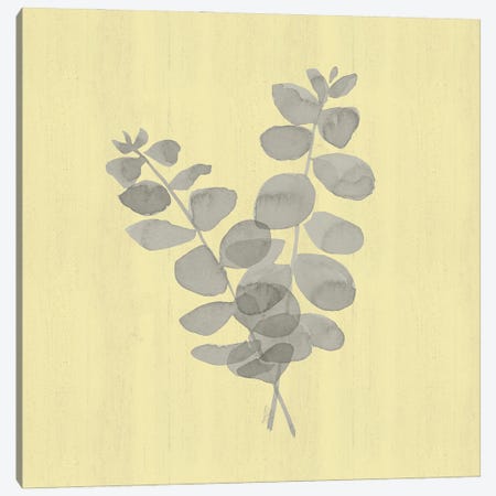 Natural Inspiration Eucalyptus Gray & Yellow I Canvas Print #TRE542} by Tara Reed Canvas Print