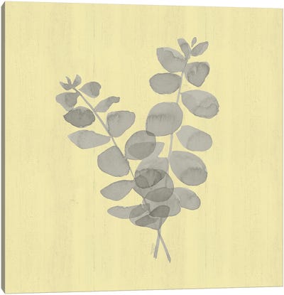Natural Inspiration Eucalyptus Gray & Yellow I Canvas Art Print - Eucalyptus Art