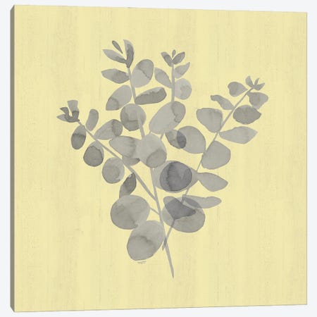 Natural Inspiration Eucalyptus Gray & Yellow II Canvas Print #TRE543} by Tara Reed Canvas Art Print