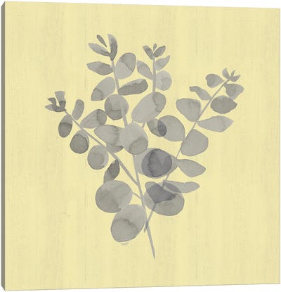 Natural Inspiration Eucalyptus Gray & Yellow II Canvas Art Print - Eucalyptus Art