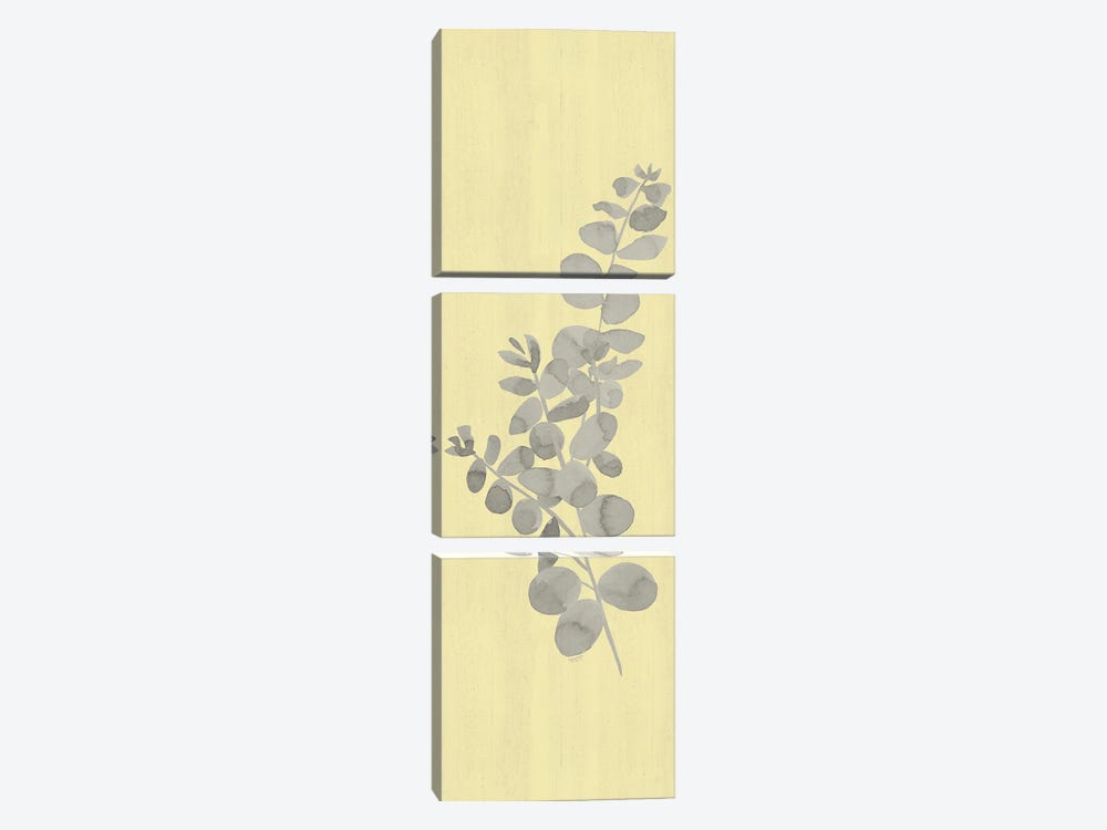 Natural Inspiration Eucalyptus Panel Gray & Yellow I by Tara Reed 3-piece Canvas Wall Art