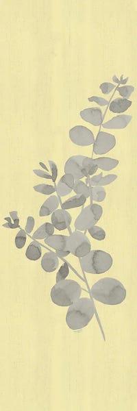Eucalyptus: Natural Inspiration Eucalyptus Panel Gray & Yellow I by Tara Reed
